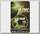 Поводочный материал Korda N Trap soft weedy green 15lbs