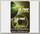 Поводочный материал Korda N Trap soft weedy green 20lbs