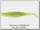 Приманка Berkley Flex stoop shad 12,5см 1/35