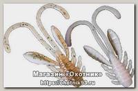 Приманка Crazy Fish Allure 1,6'' 23-40-31d-6