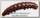 Приманка Crazy Fish h-worm 1,65MF 64-42-100-7-EF 10шт.