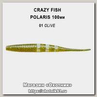 Приманка Crazy Fish Polaris 4 38-100-1-6