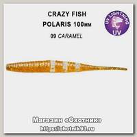 Приманка Crazy Fish Polaris 4 38-100-9-6