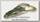 Приманка Keitech Noisy Flapper 3,5 469 green frog