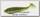 Приманка Keitech виброхвост Swing impact fat 4,3 401 green pumpking chartreuse