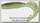 Приманка Reins Fat G tail grub 2'' цв. B08 green pumpkin chart melon уп 16шт