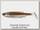 Приманка Savage Gear 3D LB fat minnow t-tail 7,5см 5гр 08-minnow bulk 1/160шт
