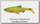 Приманка Savage Gear 3D LB river roach paddletail 18см 70гр firetiger 2шт