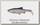 Приманка Savage Gear 3D LB river roach paddletail 18см 70гр roach 2шт
