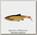 Приманка Savage Gear 3D LB roach paddletail 7,5см 5гр dirty roach 4шт