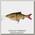 Приманка Savage Gear 3D Linethru Roach 18см 80гр SS 04-Golden Orfe