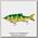 Приманка Savage Gear 3D Roach Shine Glider 23см 130гр SS 05-Goldfish