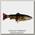 Приманка Savage Gear 4D Line Thru Pulsetail Trout 16см 51гр SS Brown Trout