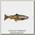 Приманка Savage Gear 4D Line thru trout 15см 35гр SS 03 dark brown trout