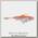 Приманка Savage Gear 4D Trout rattle shad 11см 40гр MS 02 golden albino