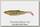 Приманка Savage Gear LB 4D herring shad pike 19см 45гр 1/20