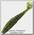 Приманка Sawamura One'Up shad 3 цв.045 7шт