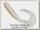 Приманка Zman твистер Grubz 5 shimmer pearl 8шт