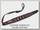 Ремень Niggeloh Paddy leather brown 0911 00028