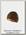 Шапка Harkila Viken двухсторонняя shadow brown melange