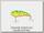 Воблер Agat Mad minnow sink 80мм цв 9