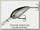Воблер Bomber Fat free shad 21,0 BKP