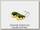Воблер Bumble Lure Killer jerk perch fair tiger 15гр