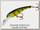 Воблер Cotton Cordell C.C. Cd-622 perch