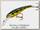 Воблер Cotton Cordell wally diver CD695 12,4гр GP