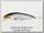 Воблер Daiwa Morethan X-cross 120 SSR mqathan iwashi