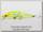 Воблер Daiwa Morethan X-cross 95 SSR D dream chart