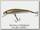 Воблер Daiwa Presso minnow 6F 6см 3,2гр floating