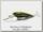 Воблер Daiwa SC Shad 5SP gun metal