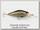Воблер Daiwa TD C-Scouter 1051 FG LG wakasagi