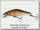 Воблер Daiwa Tournament wise minnow 50 FS wakaayu