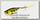 Воблер DUO Realis Popper 64mm 9.0гр плав. D13