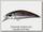 Воблер Duo Realis spearhead ryuki 50S-D13