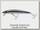 Воблер Ecogear MW 105F цв 326
