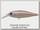 Воблер Ever Green Bank shad №2217