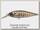 Воблер Ever Green Bank shad №246