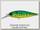 Воблер Ever Green Bank shad №46
