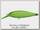 Воблер Ever Green Bank shad №876
