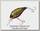 Воблер Ever Green Combat crank 250 216