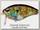 Воблер Ever Green Combat Crank TC-60 №77