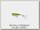 Воблер Ever Green One`s bug цв 46