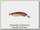 Воблер Halco Sorcerer 125 XDD+STD-H70 floating