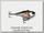 Воблер IMA Rock & vib 60мм 14гр 140 wounded shad