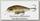 Воблер Izumi Minnow 65 70мм 8гр цв 03