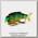 Воблер Izumi Shad alive 50 SK-09 2,9гр