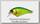 Воблер Jackall Aska 45 SR lime chartreuse
